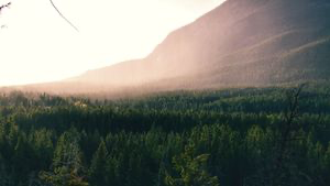 Link to: /pages/services